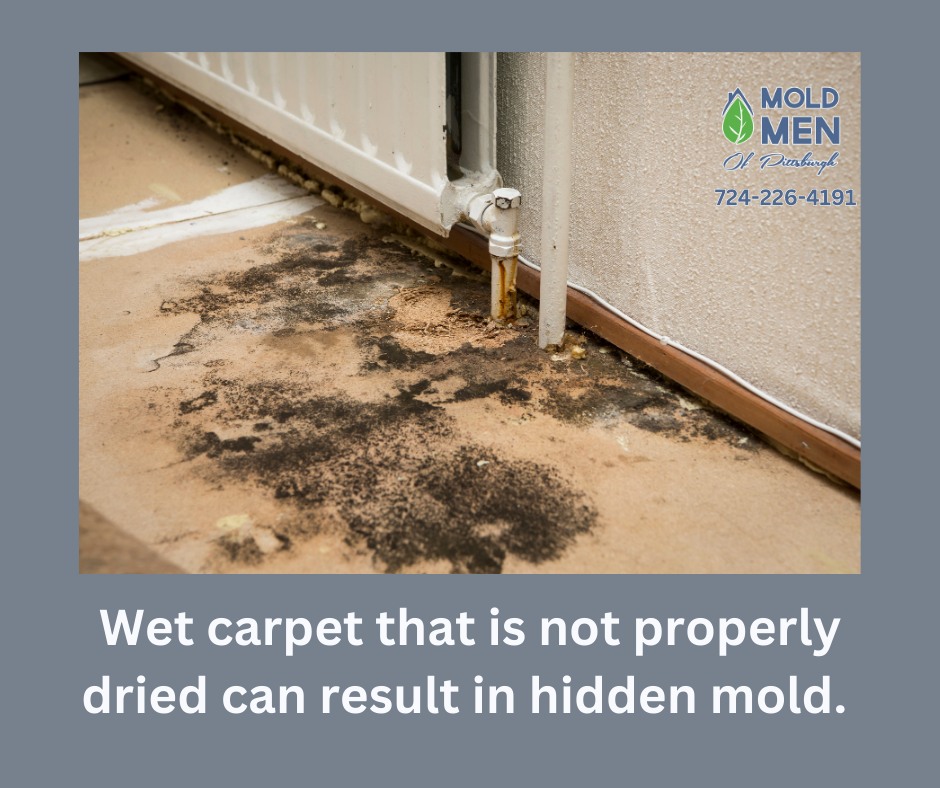moldcausedbywetcarpet
