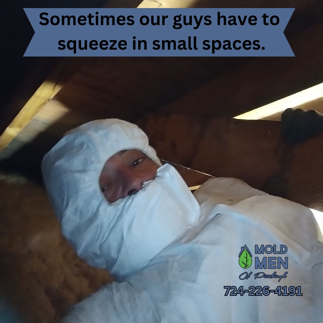 moldmeninprotectivesuit